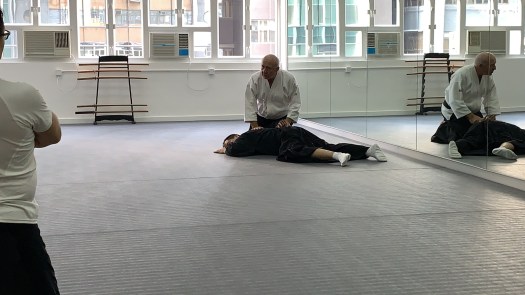Dermot Moran Sensei demo on Aikido